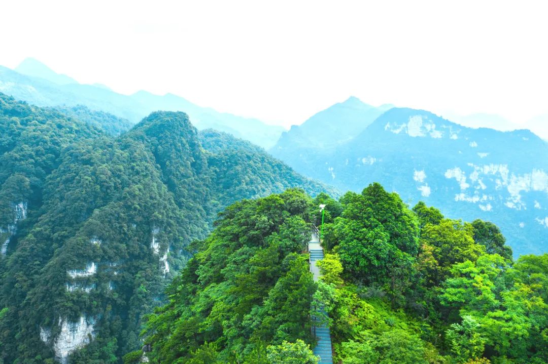 良瑜国际 | 藏在南川深山中的森林秘境,打造森林康养生活新样本 - 一
